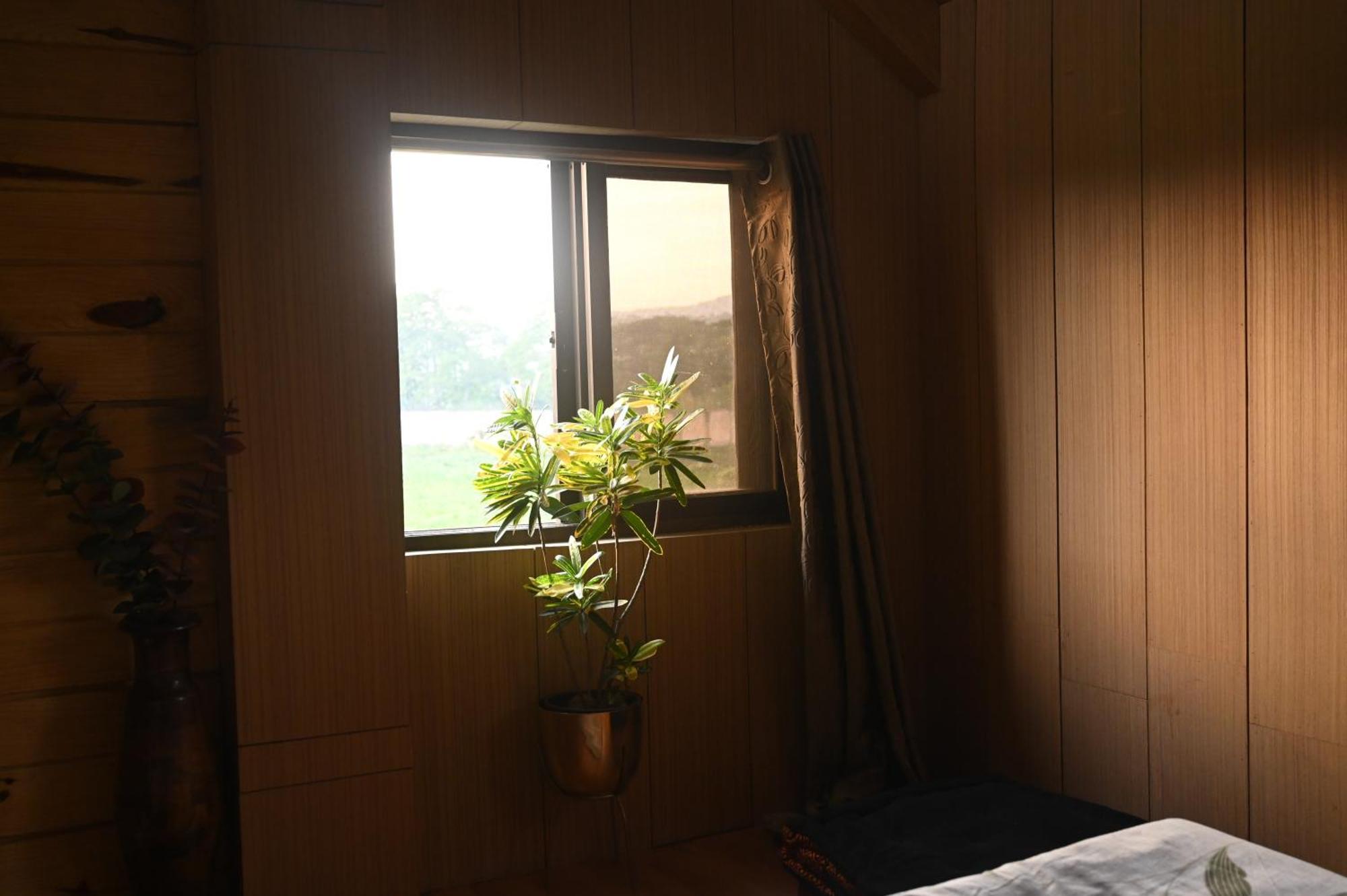 Bed and Breakfast The Cabin By The Bayou Guwahati Zewnętrze zdjęcie